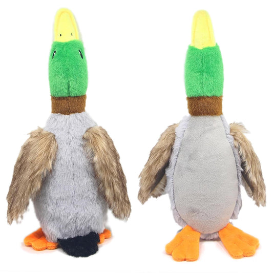From Kibbles to Toys: A Wide Range of Wholesale Pet Supplies Available