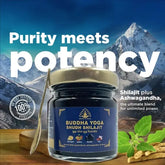 Himalayan Shilajit Organic Food 30g/Pack Bulk