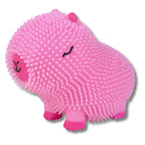 Squeezy & Squishy Capybara Puffer - Assorted