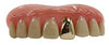 Wholesale Big Plain Billy Bob Teeth With Gold Tooth