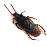 Fake Cockroaches Prank Toy For Kids In Bulk