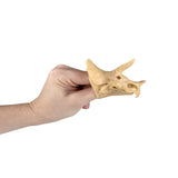 Dino Fossil Stretchy Finger Puppet kids toys In Bulk