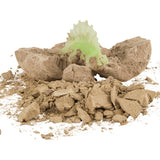 Dinosaur Fossil Egg In Bulk