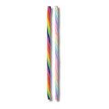 Rainbow Stretchy Fidget Noodle Kids Toy In Bulk