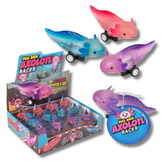 Pull Back Axolotl Kids Toy In Bulk - Assorted