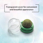 Natural Catnip Cat Wall Stick-on Ball Toy