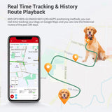 0407GP MiCODUS 4G Dog GPS Tracker Hunting Dogs Collar MP50G 4000mAh Waterproof IPX7 Realtime Track Route Playback Speaker Web & APP