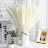 2808BA 50-60cm Pampas Grass Decor Dried Floral Arrangement Reed Bouquet Artificial Flower Home Christmas Boho Wedding Table Decoration