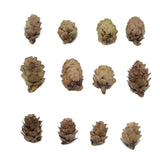 2808BA 50pcs Natural Cheap Mini Pine Nuts Artificial Fake Fruit Vegetable For Home Wedding Decoration Christmas Tree Decoration