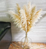 2808BA 50-60cm Pampas Grass Decor Dried Floral Arrangement Reed Bouquet Artificial Flower Home Christmas Boho Wedding Table Decoration