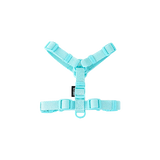 41125201903698|41125202002002