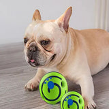 Eco Bouncy Ball Fetch Indoor Outdoor Green Interactive Latex PVC Natural Rubber Toy