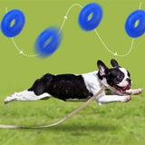 Pet bite resistant TPR toy tooth cleaning molar dog toy
