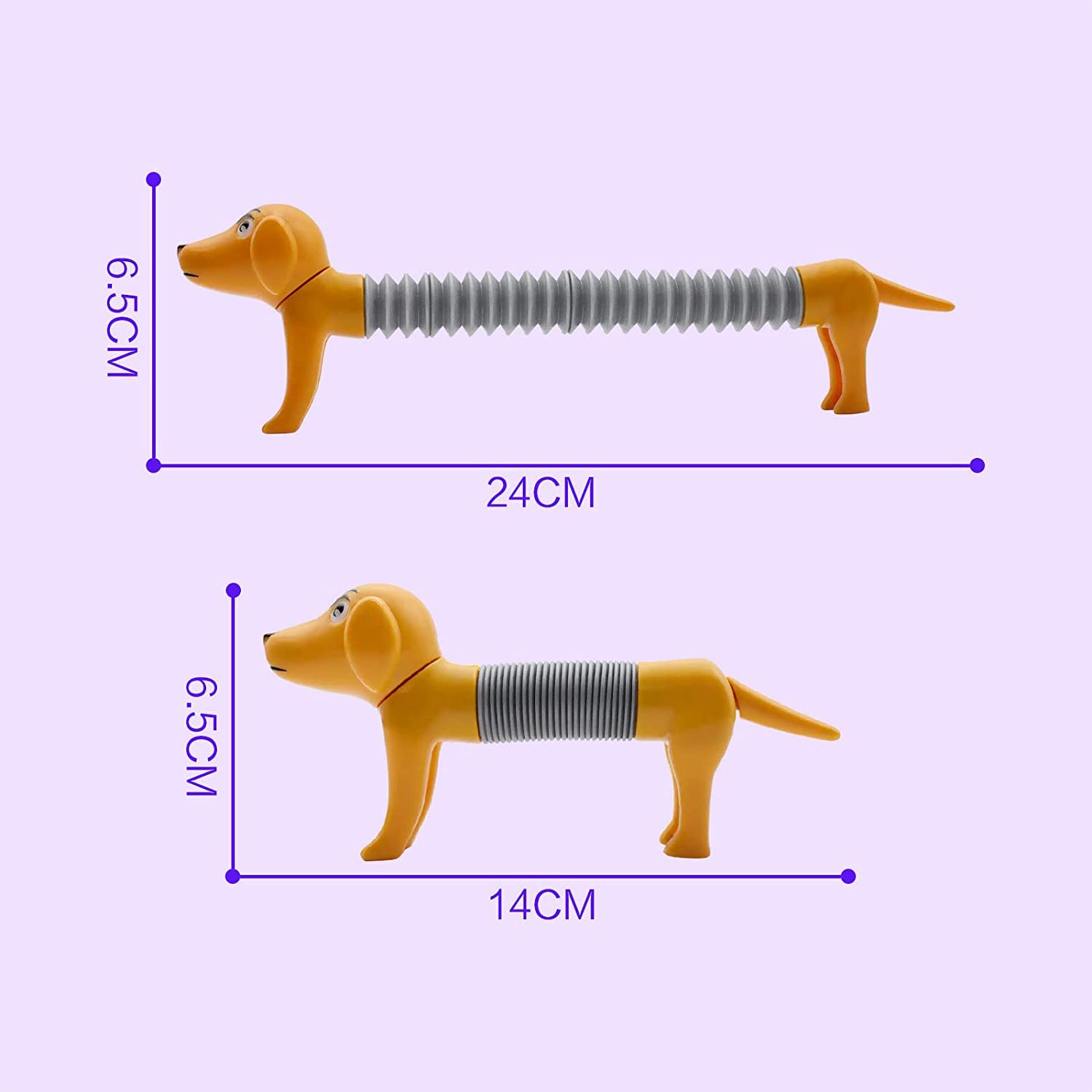 Dimensions Of  Spring Dog Pop Tube Fidget Toy