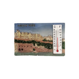Indian Culture  Fridge Magnets - Assorted