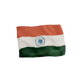 Indian Culture  Fridge Magnets - Assorted