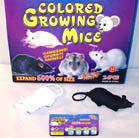 Wholesale Magic Jumbo Growing Toy Rat