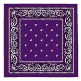 Wholesale Paisley Prints Cotton Bandannas For Unisex- Assorted