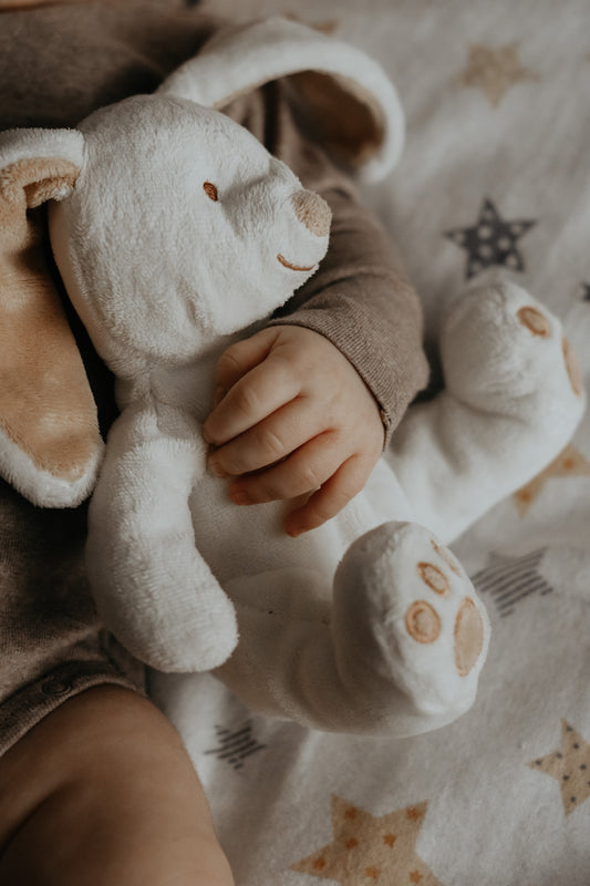 Plush Toys: Cuddly Companions and Their Benefits for Kids