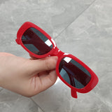 Fashionable women's sunglasses with small boxes