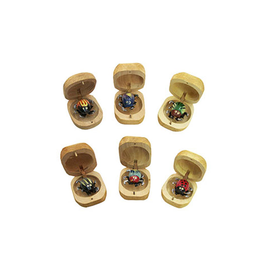 Wooden Bug In A Nut Box For Stress Relief Toys Kids- MOQ 12