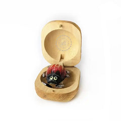 Wooden Bug In A Nut Box For Stress Relief Toys Kids- MOQ 12