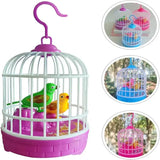 Singing Chirping Hanging Parrots Kids Toy- {Sold By 9 Pcs= $40.41}