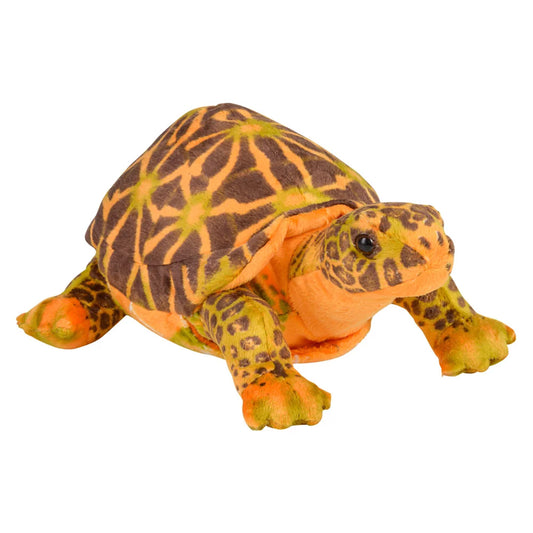 11" Box Turtle Plush