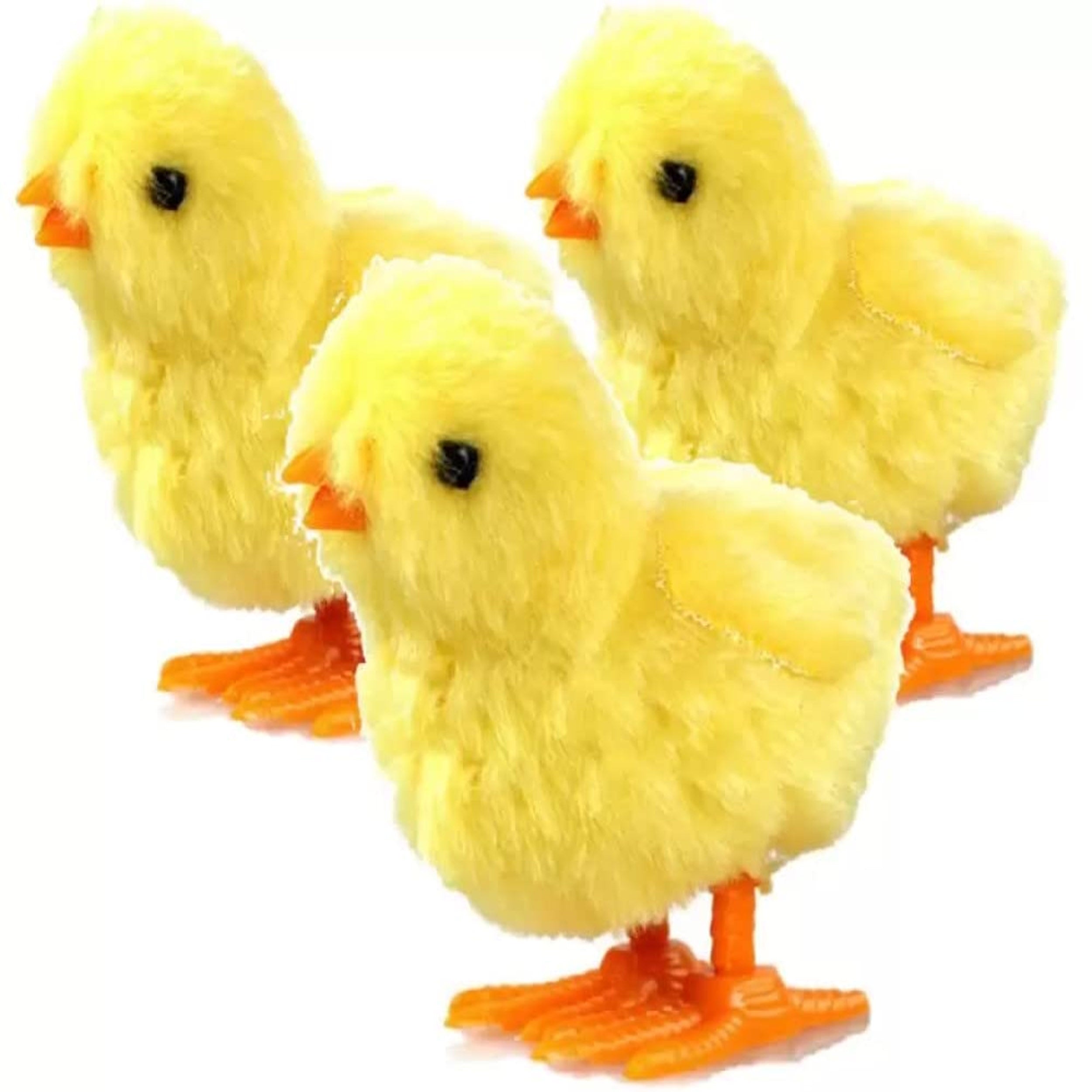 yellow baby chickens