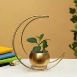 Metal Flower Vase for Home Decoration