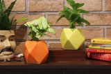 Leafy Tales Polygon Shape Ceramic Pot