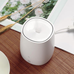 Aromatherapy Diffuser Air Humidifier