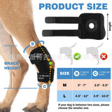 Pet dog leg guard Knee Guard ACL ligament r Protection Aid Rehabilitation Cat joint dislocation protection