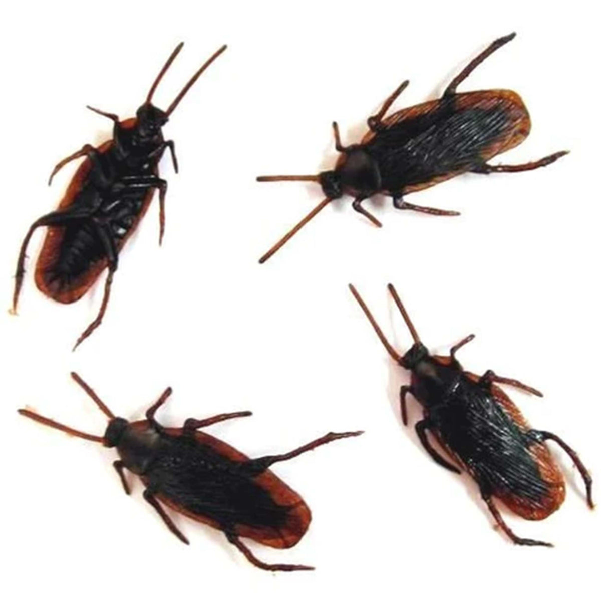 Cockroach store prank toy