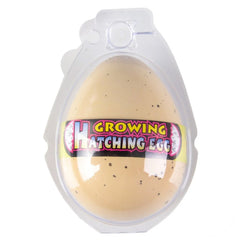 Growing Turtle Egg Kids Toy in Bulk