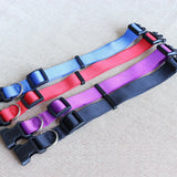 2808GP Nylon Webbing Dog Collar Heavy Duty Clip Buckle Solid Pet Collar for Small Medium Dogs Chihuahua Dog Teddy Keji Pitbull Bulldog