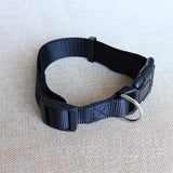 2808GP Nylon Webbing Dog Collar Heavy Duty Clip Buckle Solid Pet Collar for Small Medium Dogs Chihuahua Dog Teddy Keji Pitbull Bulldog