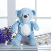 Cute Bear Plush Soft Stuffed Toy - Assorted
