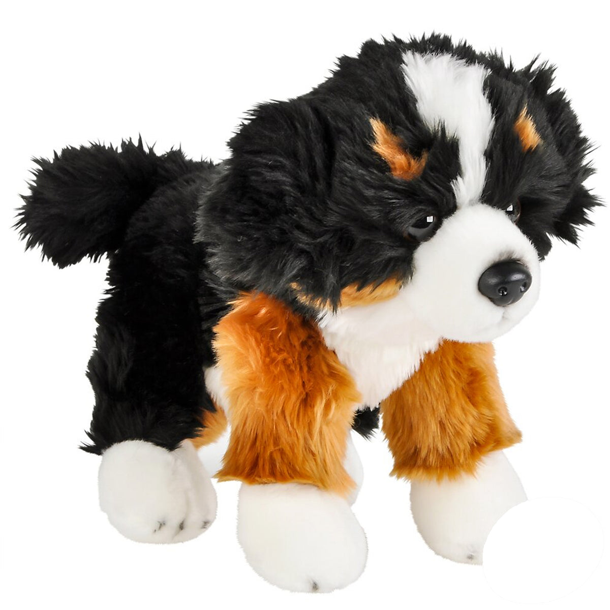 Heirloom Floppy Bernese Mountain Dog in Bulk