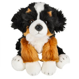 Heirloom Floppy Bernese Mountain Dog in Bulk