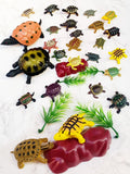 Artificial Marine Animal Model Turtle Turtle Tortoise Kids Toy Doll Early Education Perception Teaching Aids Landscape Furnishing Articles