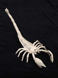 0709BA Halloween Animal Skeleton Artificial Bat Spider Lizard Room Escape Ghost House Decoration Ornaments Mouse Props