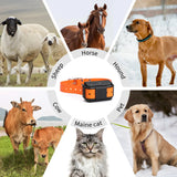 0407GP MiCODUS 4G Dog GPS Tracker Hunting Dogs Collar MP50G 4000mAh Waterproof IPX7 Realtime Track Route Playback Speaker Web & APP