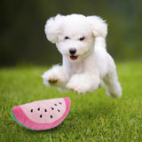 2808GP Puppy Dog Plush Squeaky Toys Bite-Resistant Bone Aggressive Chewers Soft Dog Teeth Chew Fruit Funny Play Sound Toys Pet Supplies