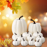 1707BA Set Of 12 Pieces Faux Pumpkins White Halloween Fall Decoration Garden Indoor Outdoor Decoration Large Garden Foam Pumpkin