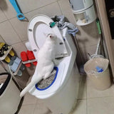 Cat Toilet Trainer Litter Box Cat Toilet Training Reusable Simple Installation Open Cat Raising Artifact
