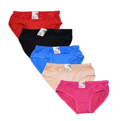 Bulk Women Lace Plus Size Panties - Assorted