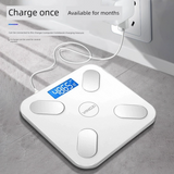 2407GG Small Precision Smart Home Charging Body Fat Scale