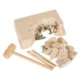 Buy DINOSAUR DELUXE FOSSIL EXCAVATION KIT in Bulk