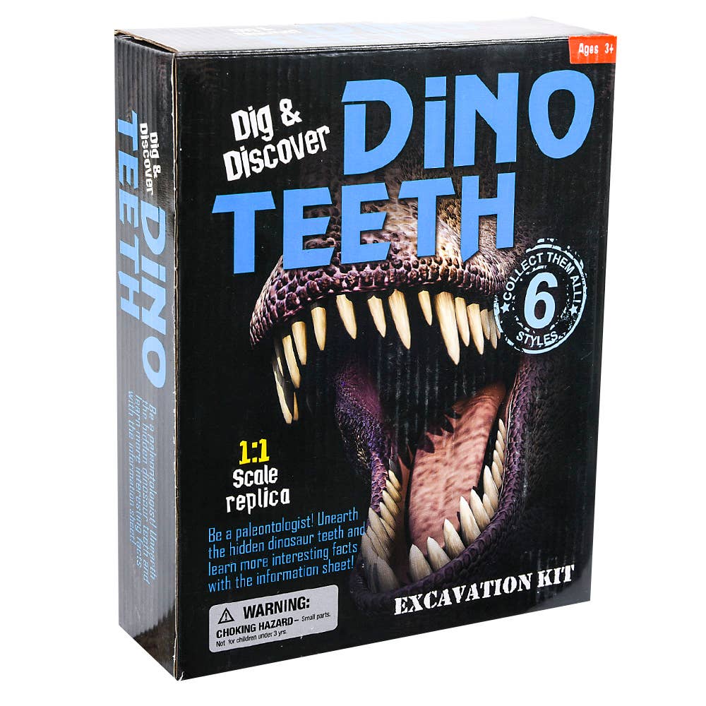 Buy DINOSAUR TEETH EXCAVATION KIT in Bulk